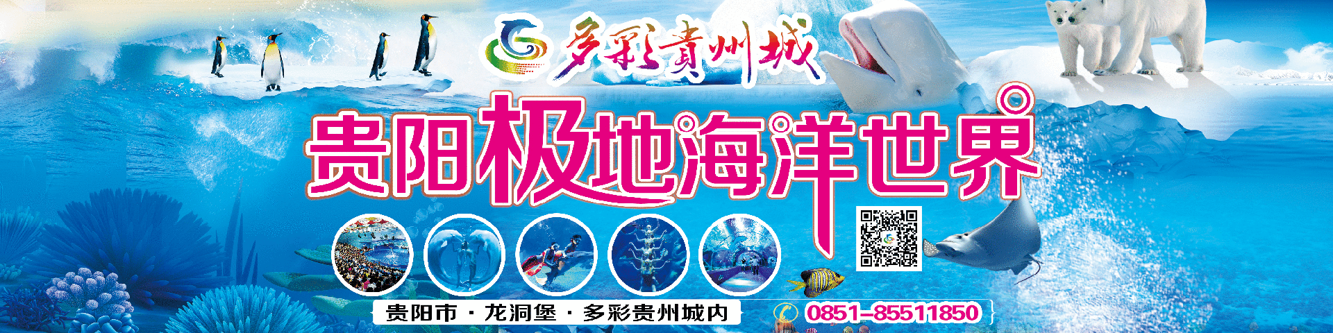 贵阳极地海洋世界幻灯片